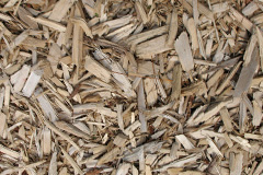 biomass boilers Long Bredy